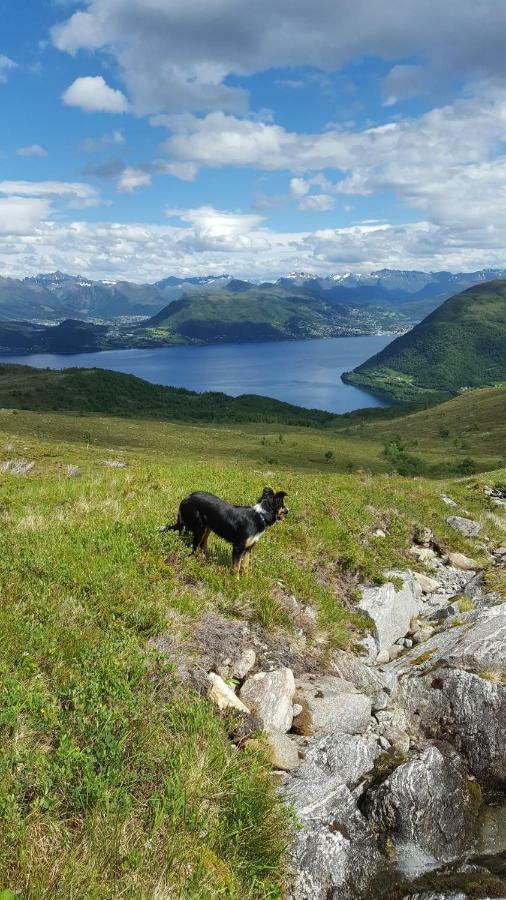 Tiny House With Fjordview! Villa Lauvstad Eksteriør billede